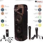 Tronica Dual 6.5″ Thunder Vibra Party Speaker with Two Karoke mics & Vivid Light Effect –  (6 Hours Non Stop Play Back)
